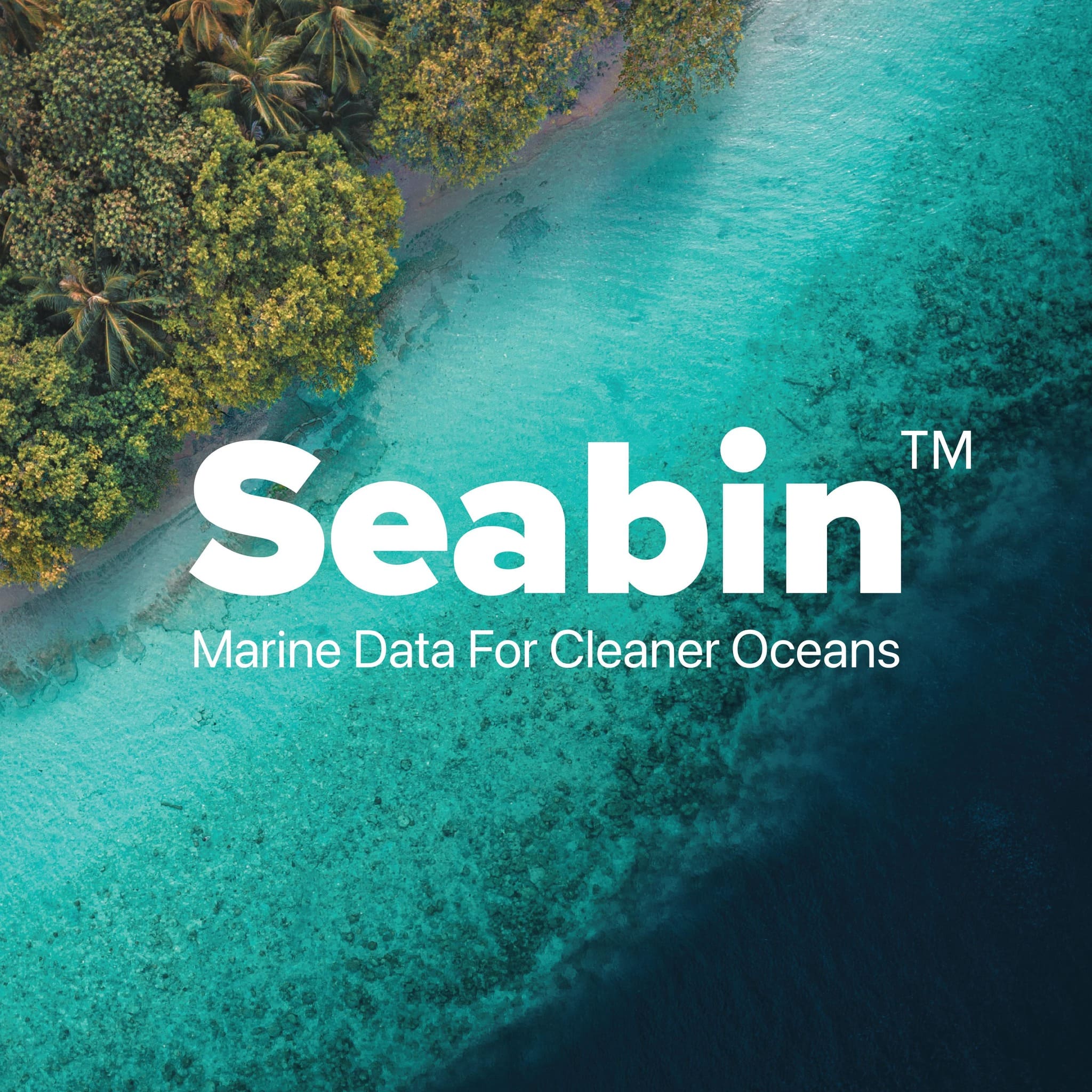 lifee charity partners. seabin 1