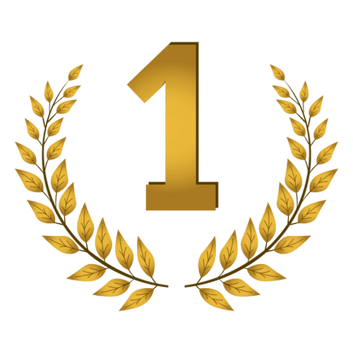 da985521b2ffcbb95a2ca9d3c9f39afa 1st place laurel badge